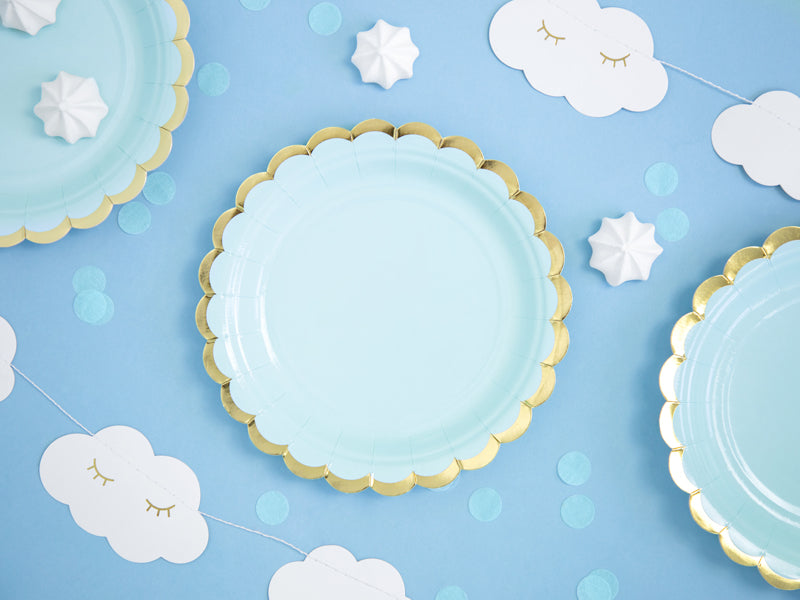 Light Blue Paper Plates