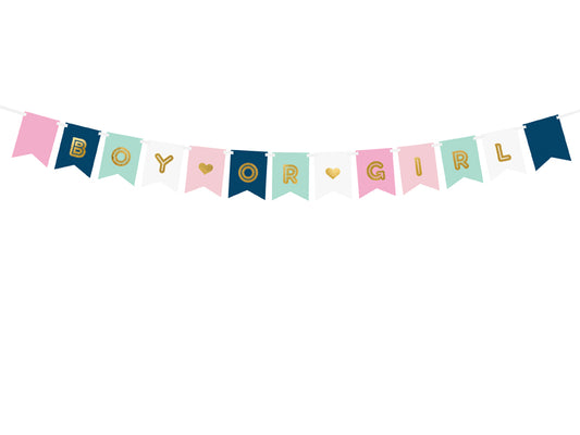 Gender Reveal Banner