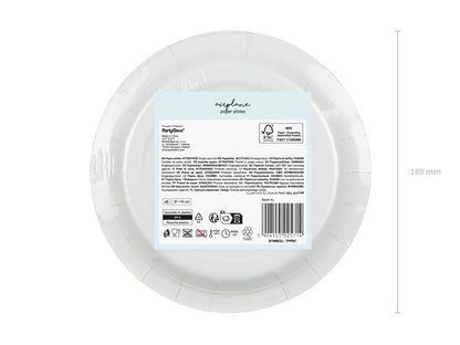 Paper plates Airplane - Assorted Colours